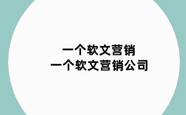 一个软文营销 一个软文营销公司